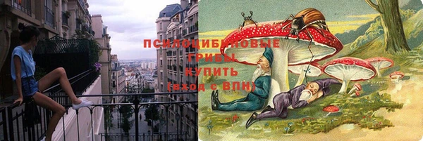 мдма Гусев